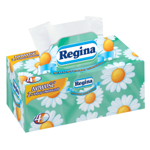 Salvrätikud Camomille box, 4-kihiline, REGINA, 96 tk