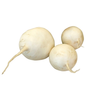 Valge redis kg Itaalia