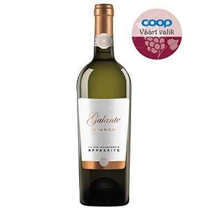 Galante Bianco Appassite 0.75L valge vein