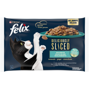 Felix kiisueine Deliciously Sliced 4*80g kala tarrendis