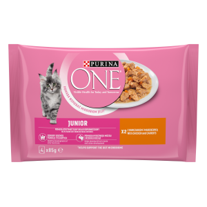 ONE Junior kiisueine 4*85g kana-porgandi kastmes