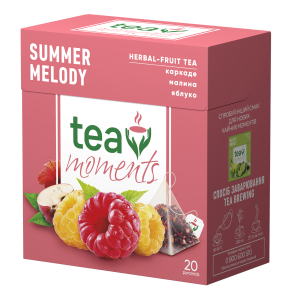 Tea Moments Suvine meloodia, tee püramiidides 34g (20x1,7)