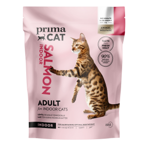 Kuivtoit kodukassidele lõhega 400g