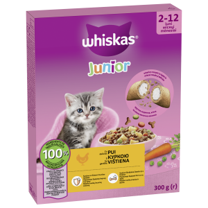 Whiskas Junior kuivt.kassile 300g kana