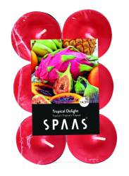 Lõhnateeküünal 12tk 4.5h troopi.viljad