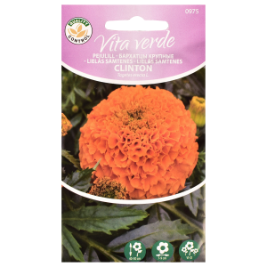 Peiulill Marigold African Clinton