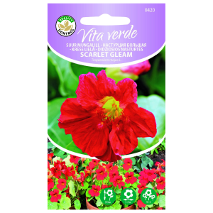 Mungalill suur Scarlet Gleam 2g