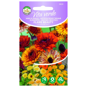 Harilik saialill Flame Beauty 2g