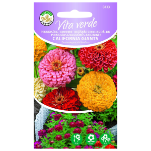 Pruudisõlg California Giants 0.5g