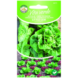 Rooma salat Little Gem 1g
