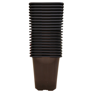 Desch Nelikantpott 7*7*6.5 must 10tk